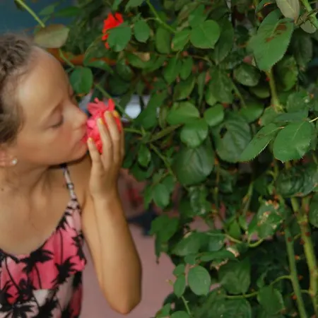 Alajbeg Appartement Trogir