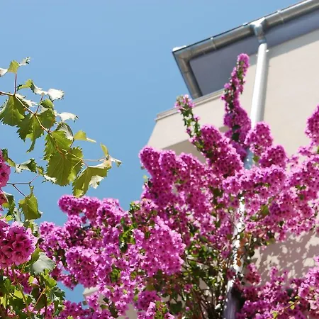 Appartement Alajbeg Trogir