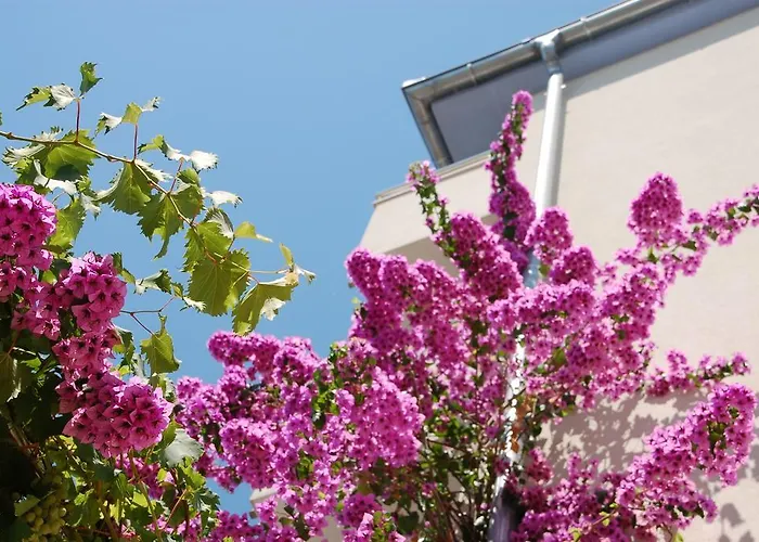 Appartement Alajbeg Trogir